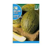 ROCALBA SEMILLA Melon PIÑONET P.S. 10ud