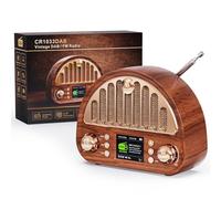 ROCAM Radio digital DAB/DAB+, radio vintage con potente sonido de 8 W, compatible con Bluetooth, AUX-IN, tarjeta TF, batería recargable de 3000 mAh, perfecta para el hogar, la oficina o al aire libre