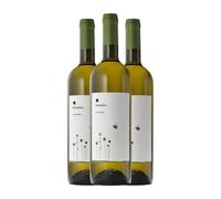 Roccafiore Fiordaliso Bianco Grechetto Umbria 75 cl Vino blanco (Caja de 3 Botellas de 75 cl)