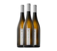 Roccafiore Fiorfiore Grechetto Umbria 75 cl Vino blanco (Caja de 3 Botellas de 75 cl)