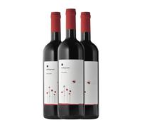 Roccafiore Melograno Rosso Sangiovese Umbria 75 cl Vino tinto (Caja de 3 Botellas de 75 cl)