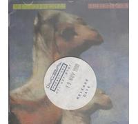 ROCHES - WE THREE KINGS