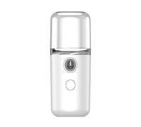 Rociador de Niebla Facial Nano de Tamaño de Bolsillo, Carga USB, Humectación Duradera para Hidratación, Tratamiento de Spa Absorbido, Humidificador Facial de Agua Portátil (WHITE)