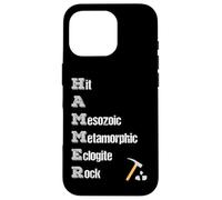 Rock Collector Geologist Tools Rock Hound Hammer Acrónimo Carcasa para iPhone 16 Pro