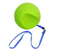 rockible Entrenador de Swing de Golf Entrenador de Postura Bola de Práctica Conector de Brazos con Ajuste de Cordón 42cm-60cm para Sincronizar Brazos y Cuerpo, Pelota Verde+Cuerda Azul