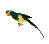 rockible Loro Decorativo Realista, Verde, 45cm