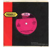 ROCKIN BERRIES - ROCKIN BERRIES - WATER IS OVER MY HEAD - 7" VINYL