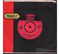 Rockin' Berries - The Water Is Over My Head