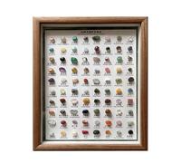 Rocks and Minerals - Colección Raw portátil 80X | Decoración del hogar, clásicos de piedra, juego de en bruto en marco de madera para exhibición educativa, muestra de geología, regalo