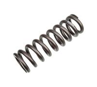 RockShox Resorte de acero para Kage/Vivid 200 x 51/57 mm gris 400 lbs