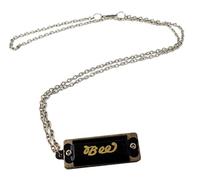 ROCKSTAR MUSIC - Collar de armónica en Do, BEE Mini armónica portátil de metal y Resina 8 Voces + Collar Metálico Color Plata