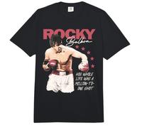 Rocky Balboa His Whole Life Was A Million-To-One Shot Poster Comfort Colors Adult Heavyweight T-Shirt