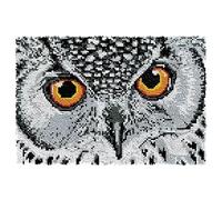 ROCKY&CHAO Juego de fabricación de alfombras DIY con gancho de botones para alfombra de 60 x 40 cm para niños y adultos (búho blanco)
