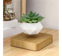 Rocky Green Llevitación magnética flotante de aire bonsái levitante maceta adornos creativos rotación maceta colgante maceta hogar escritorio decoración en macetas y macetas desde casa