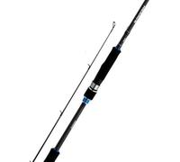 Rod Nexave Spinning Mod-Fast