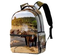 RODAILYCAY Nashville - Mochila de viaje para laptop universitaria, escuela secundaria, mochila de gran capacidad, bonita mochila para hombres y mujeres, Multicolor 8, 29.4x20x40cm/11.5x8x16 in, Casual