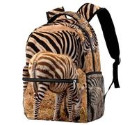 RODAILYCAY Nashville - Mochila de viaje para laptop universitaria, escuela secundaria, mochila de gran capacidad, bonita mochila para hombres y mujeres, Multicolor 6, 29.4x20x40cm/11.5x8x16 in, Casual