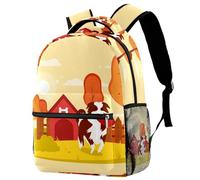 RODAILYCAY Red Sky Lantern - Mochila de viaje para laptop, escuela secundaria, mochila grande para libros, bonita mochila para hombres y mujeres, Multicolor 6, 29.4x20x40cm/11.5x8x16 in, Casual
