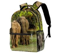 RODAILYCAY Tiger Claws Scratches - Mochila de viaje para laptop, mochila de escuela secundaria, mochila de gran capacidad, bonita mochila para mujer, Multicolor 3, 29.4x20x40cm/11.5x8x16 in, Casual