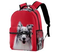 RODAILYCAY Two Seals Sitting on Ice - Mochila de viaje para laptop, mochila de escuela secundaria, mochila grande para libros, bonita mochila para hombres y mujeres, Multicolor 9, 29.4x20x40cm