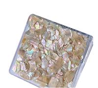 Rodajas irregulares de concha de abulón en 6 colores naturales para decoración de uñas, decoración de manicura colorida 3D, conchas