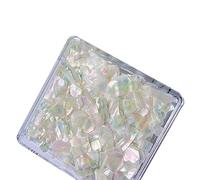 Rodajas irregulares de concha de abulón en 6 colores naturales para decoración de uñas, decoración de manicura colorida 3D, conchas
