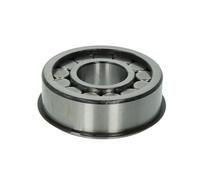 Rodamiento agujas, cuerpo eje DT Spare Parts 1.16069