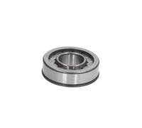 Rodamiento cónico, eje de transmisión de engranaje cónico C.E.I 530604