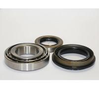 Rodamiento de la rueda 44-21021 ASHIKA para NISSAN URVAN Autobús TERRANO I
