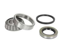 Rodamiento de la rueda Eje trasero H21020BTA BTA para NISSAN