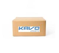 Rodamiento de la rueda Eje trasero WBH-5519 KAVO PARTS para MITSUBISHI