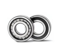 Rodamiento de rodillos cilíndricos de carga completa NCF 202 203 204 205 206 207 208 209 210 211 212 213 214 215 216 218 220 222 224 2224 2222224 222224 6 228 230 V-2RS(NCF222V 110 x 200 x 38, no seal