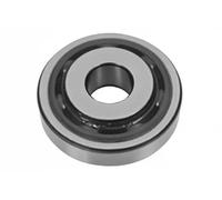 Rodamiento de rodillos del amortiguador Eje delantero 4005306 SASIC para RENAULT