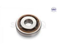 Rodamiento de rodillos del amortiguador Eje delantero 805415 SIDEM para RENAULT