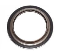 Rodamiento de rodillos del amortiguador Eje trasero FT12277 FAST para RENAULT