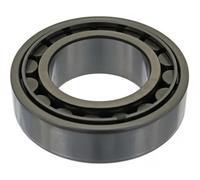 Rodamiento del cubo de la rueda Eje trasero izquierda Rodamiento 04843 para VW