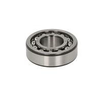 Rodamiento oscilante de rodillos ZVL 1204-C3