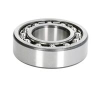 Rodamiento oscilante de rodillos ZVL 1205-C3