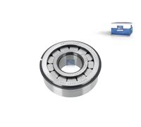 Rodamientos de Agujas Cuerpo Del Eje Ø 38-94MM DT SPARE PARTS Apto para Scania