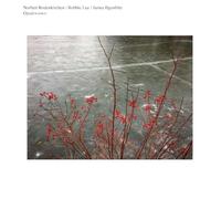 Rodenkirchen,Norbert - Opalescence