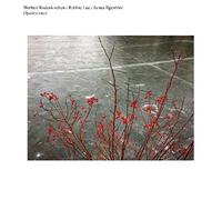 Rodenkirchen,Norbert - Opalescence [Vinilo]