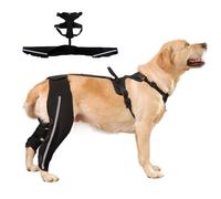 Rodillera para Perro Arnés de Soporte Ajustable Antideslizante con Correa