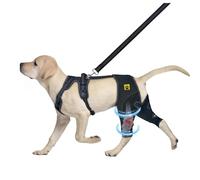 Rodillera para perro para ligamento cruzado, protector de soporte de pierna trasera para perros para lesiones del ligamento cruzado anterior, ayuda a la recuperación, articulaciones cálidas y alivio