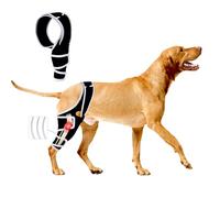Rodillera para perro para pierna trasera del ligamento cruzado anterior, rodilleras de perro con lesiones de ligamentos cruzados, patas traseras o patas delanteras, rodillera de perro para luxar