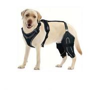 Rodillera para perro para rotura de ACL/CCL y rótula luxante - Soporte ajustable para patas traseras, soporte antideslizante con bisagras para aliviar el dolor y recuperación (XL)
