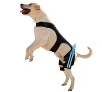 Rodillera para perros - Envoltura articular ajustable, soporte de pierna trasera | Ayuda ortopédica para mascotas, senderismo, ejercicio, actividades al aire libre, parque, playa, voy