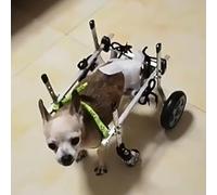 Rodillera para Perros pequeños con Rotura de ligamento Cruzado Anterior (LCA) en Las Patas traseras, Silla de Ruedas Ajustable para Mascotas/Perros, Soporte de Cadera para Perros,