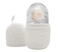 Rodillo de hielo facial, masajeador calmante facial, rodillo de piel para remedios fríos, herramienta de belleza de acero inoxidable para reafirmar, accesorio de cuidado facial de relajación, viaje en