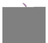 Rodillo de Hielo para la Cara | Molde de Silicona - Alivia Hinchazón Ojos, Calma Piel y Ciērra Poros | Herramienta Facial Reutilizable que Estimula Circulación, para el Cuidado Cutáneo