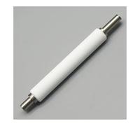 Rodillo de Platina P1037974-028 Apto for Impresora térmica Zebra ZT200 ZT210 ZT220 ZT230